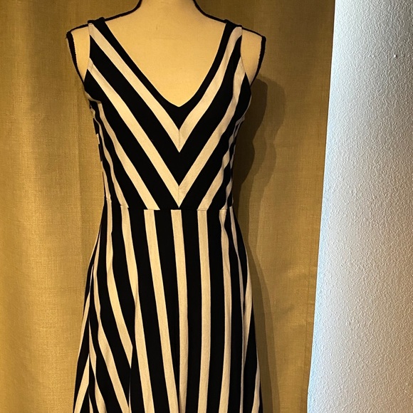 chaps cotton dresses